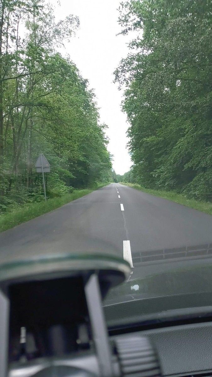 Niebezpieczne chaszcze przy wylotówce z Bolesławca