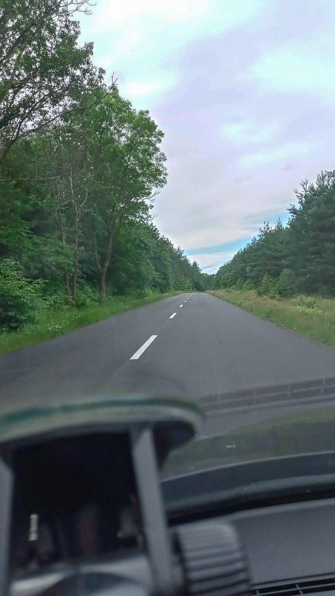 Niebezpieczne chaszcze przy wylotówce z Bolesławca