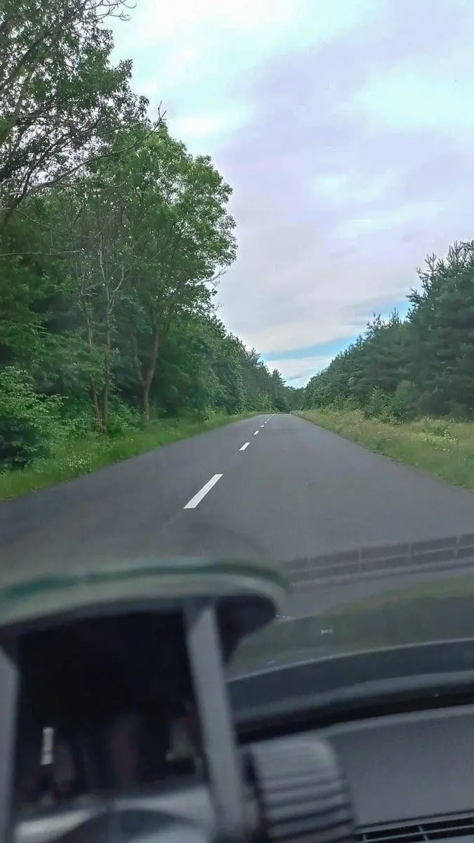 Niebezpieczne chaszcze przy wylotówce z Bolesławca