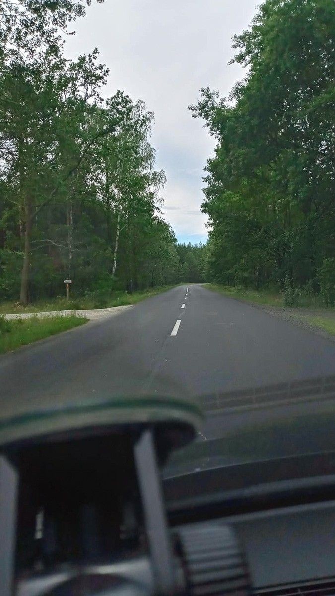 Niebezpieczne chaszcze przy wylotówce z Bolesławca