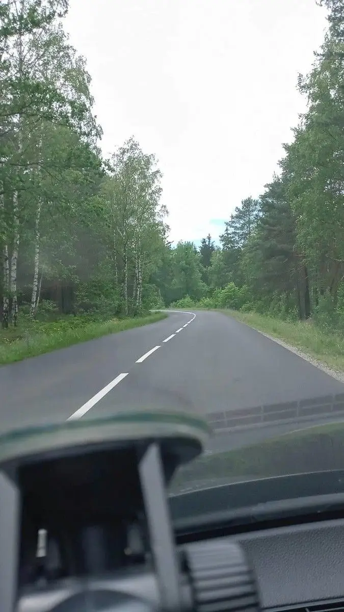 Niebezpieczne chaszcze przy wylotówce z Bolesławca