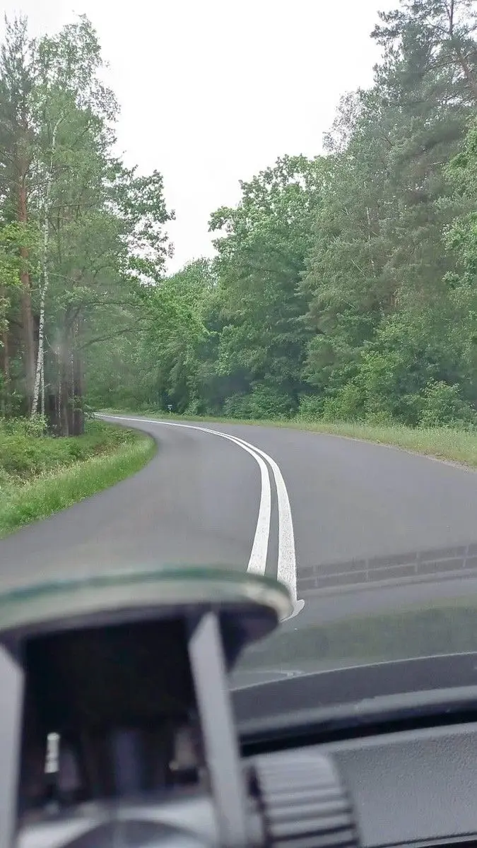 Niebezpieczne chaszcze przy wylotówce z Bolesławca