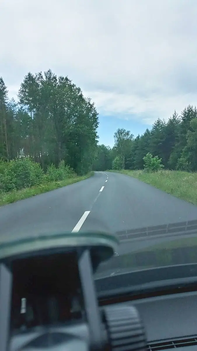 Niebezpieczne chaszcze przy wylotówce z Bolesławca