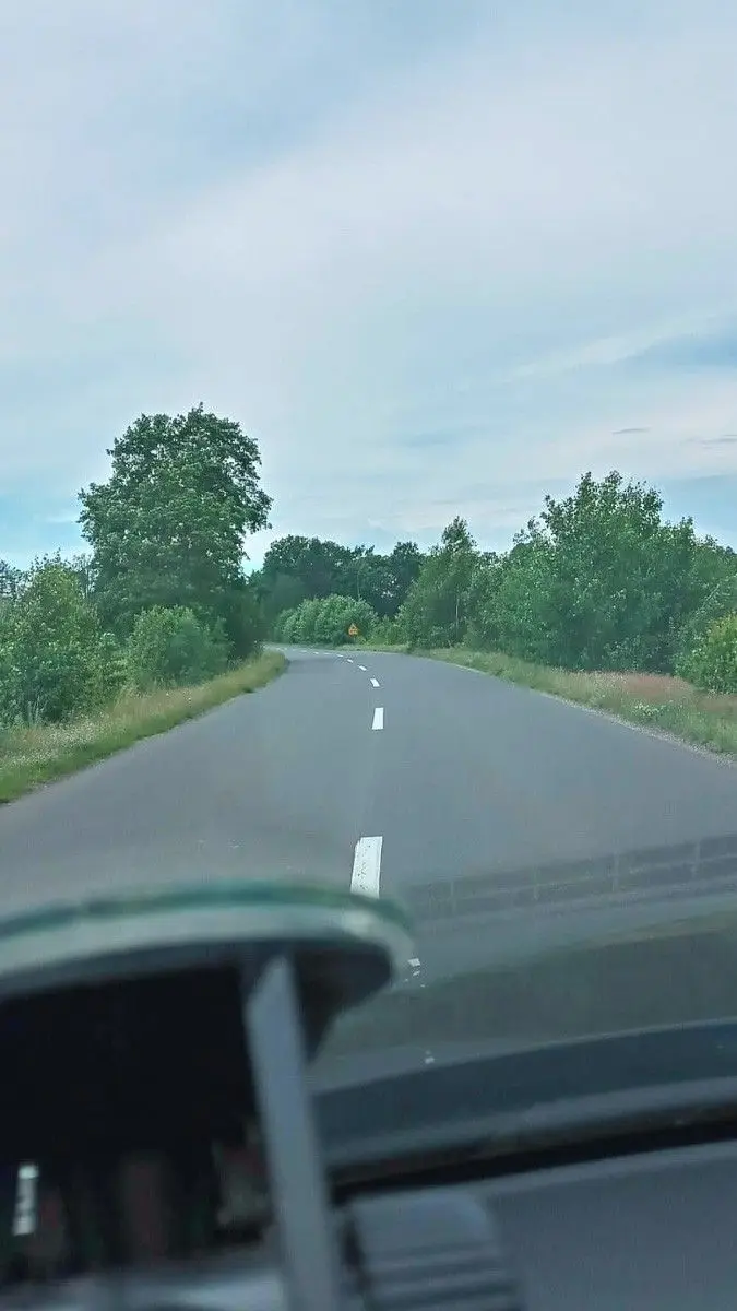 Niebezpieczne chaszcze przy wylotówce z Bolesławca