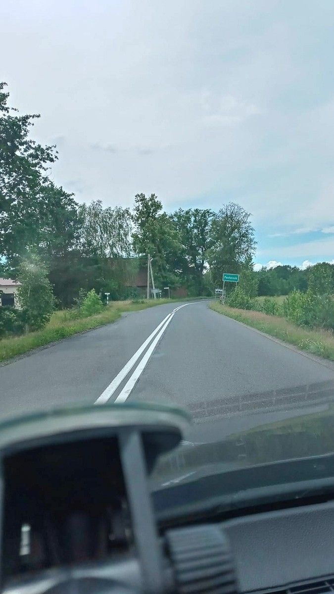 Niebezpieczne chaszcze przy wylotówce z Bolesławca