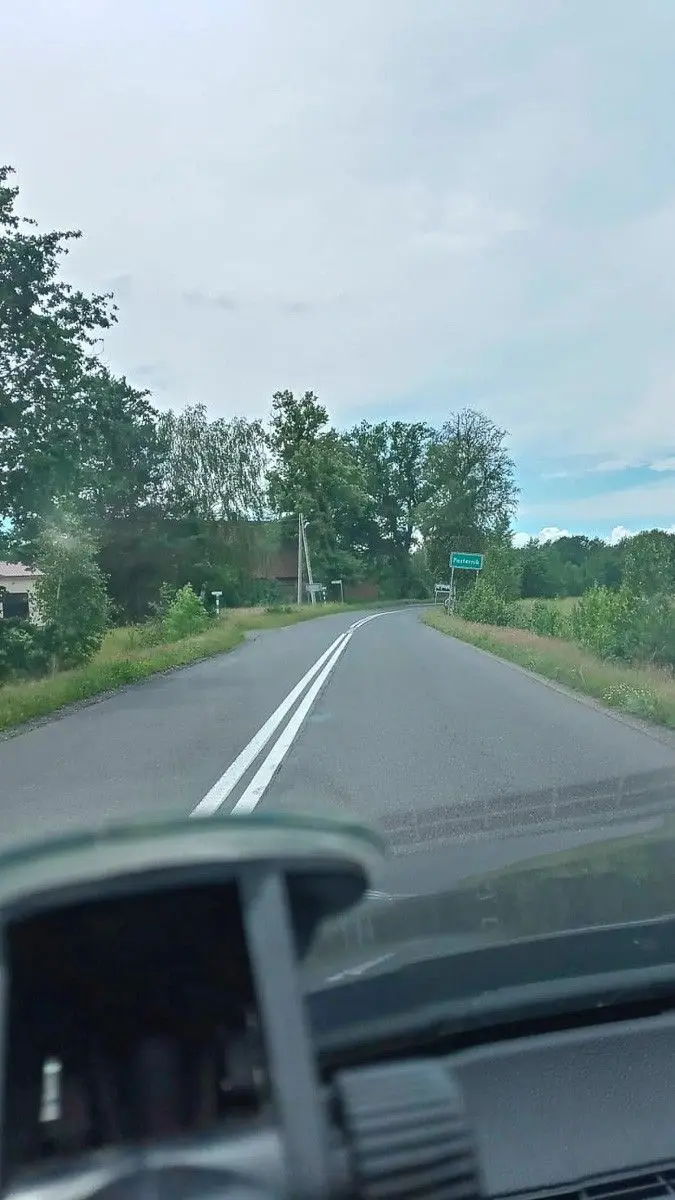 Niebezpieczne chaszcze przy wylotówce z Bolesławca