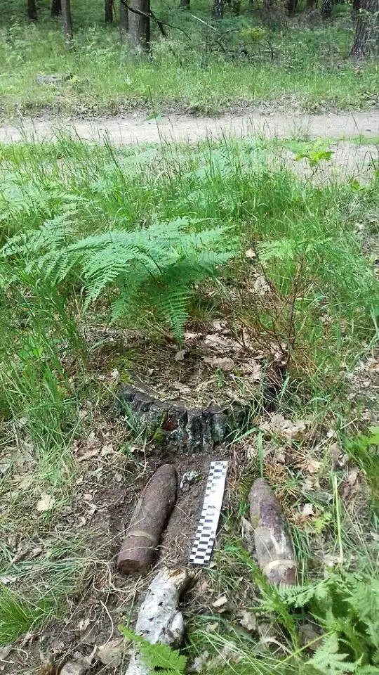 Pociski znalezione w lesie w powiecie zgorzeleckim