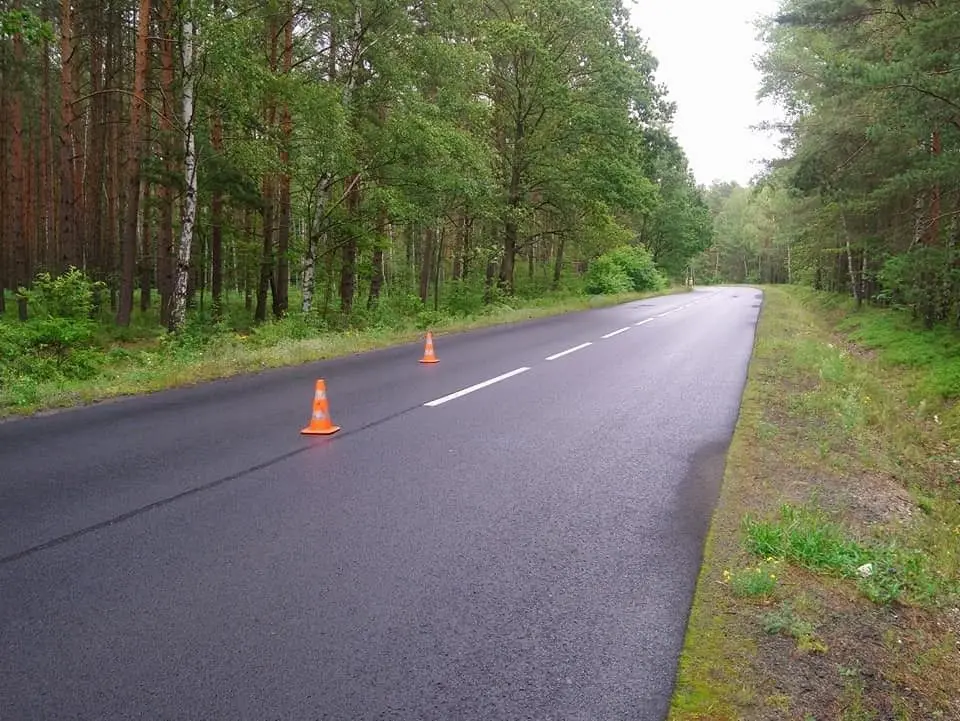Akcja straży pożarnej między Krzyżową a Gromadką (gmina Gromadka, powiat bolesławiecki)