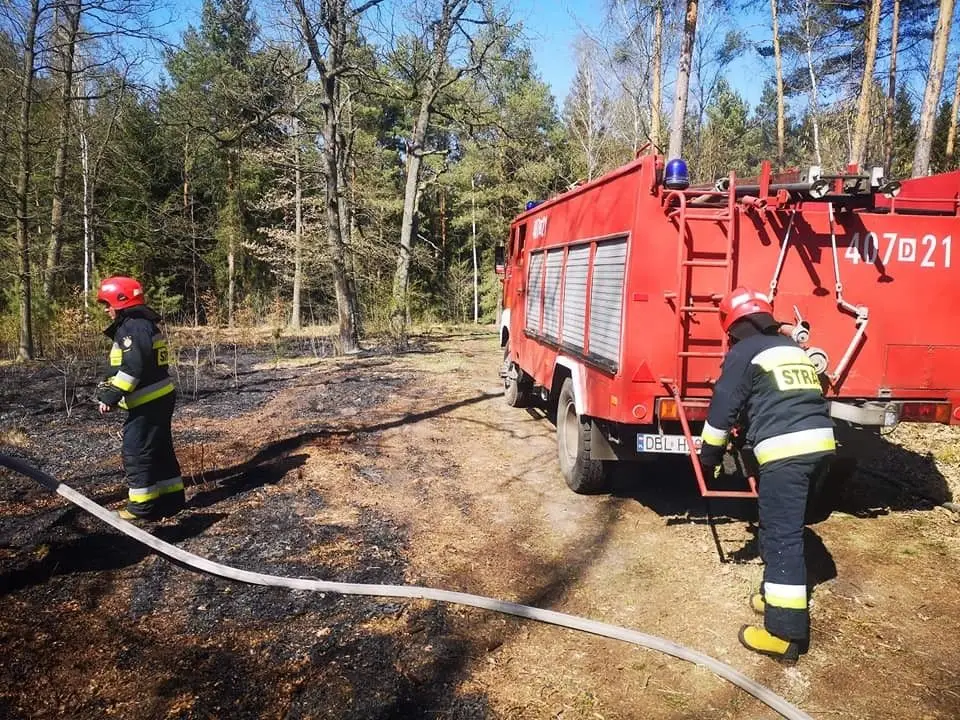 Akcje Ochotniczej Straży Pożarnej w Krzyżowej