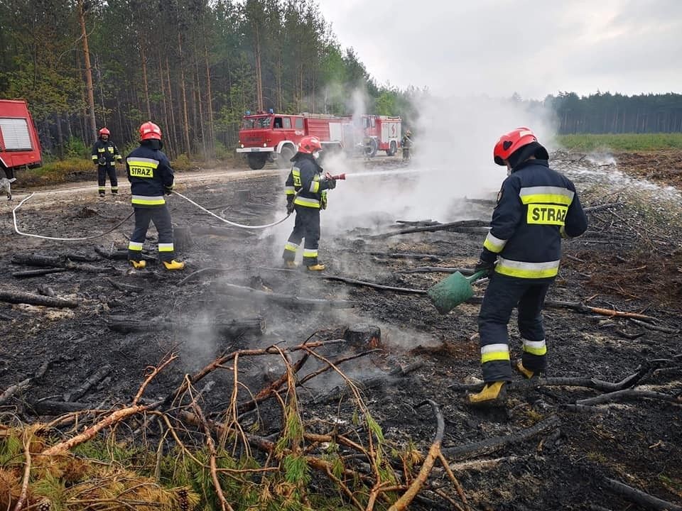 Akcje Ochotniczej Straży Pożarnej w Krzyżowej