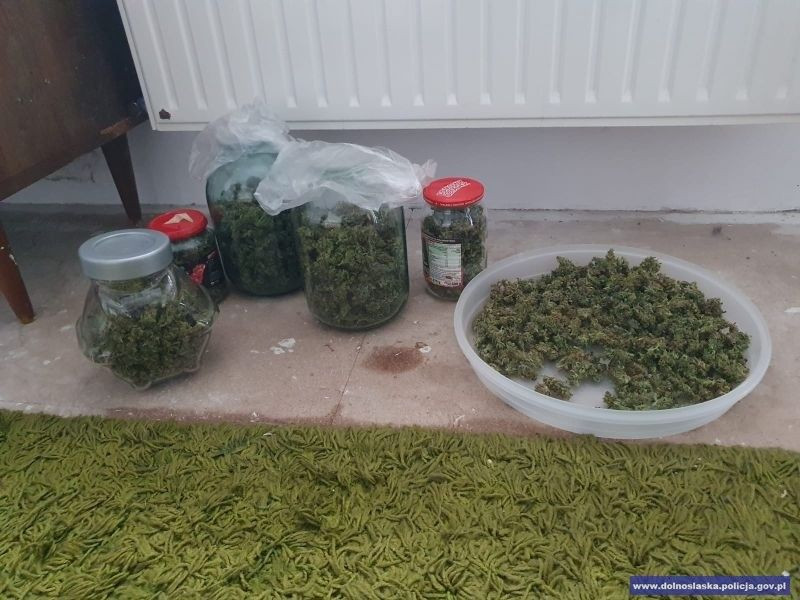 Narkotyki przechwycone przez kryminalnych z Bolesławca