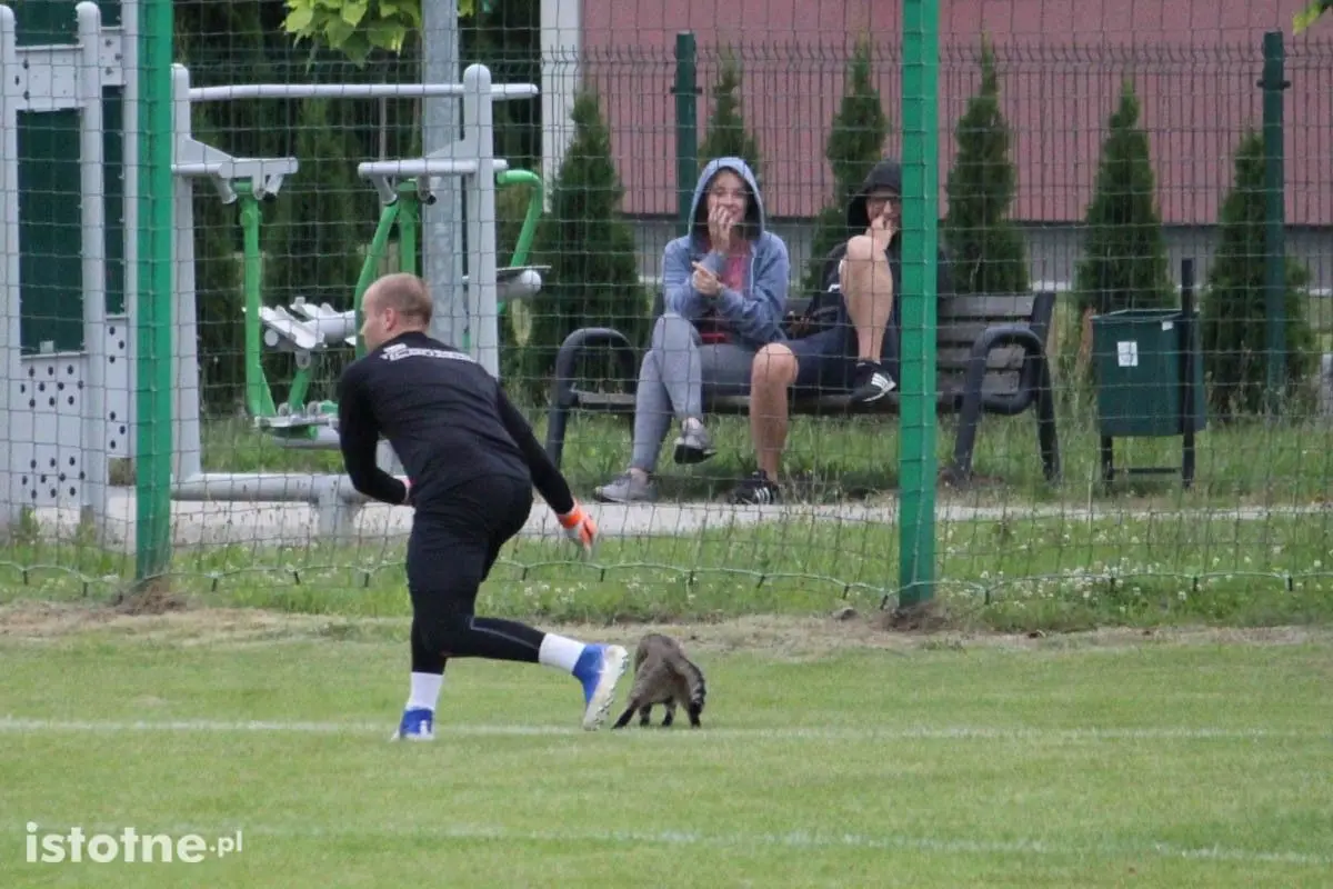 Leśnik Osiecznica wygrywa sparing z BKS Bolesławiec