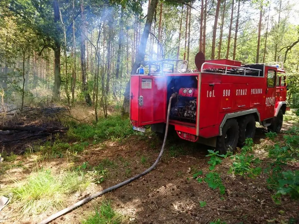 Akcja straży pożarnej w miejscowości Motyle (gmina Gromadka, powiat bolesławiecki)