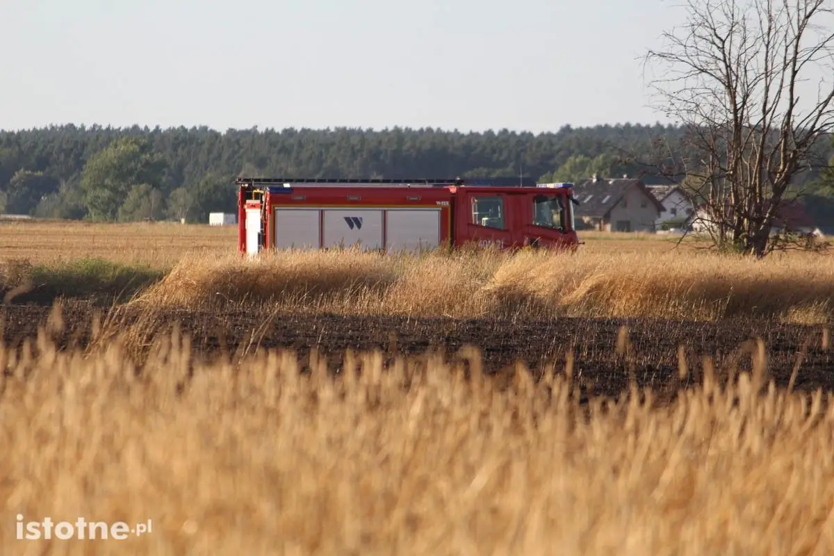 Pożar na polu koło Chościszowic
