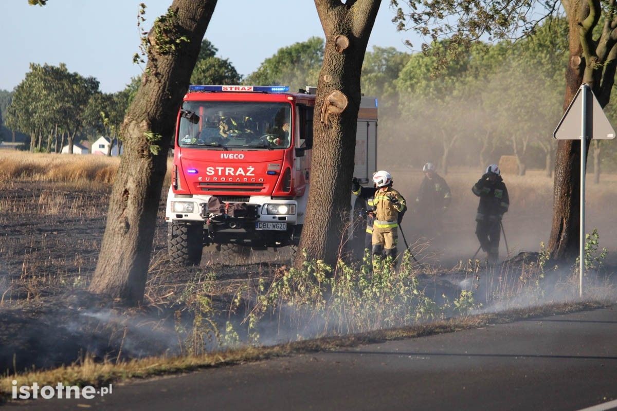 Pożar na polu koło Chościszowic