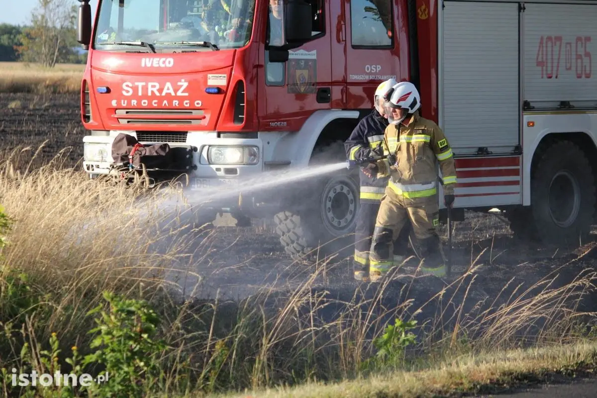 Pożar na polu koło Chościszowic