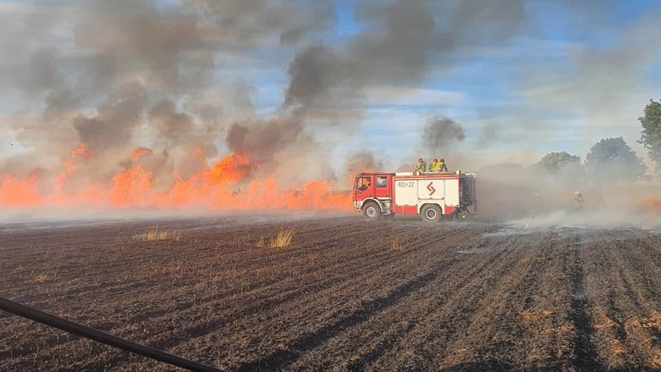 Pożary na polach w Tomaszowie Bolesławieckim i Chościszowicach