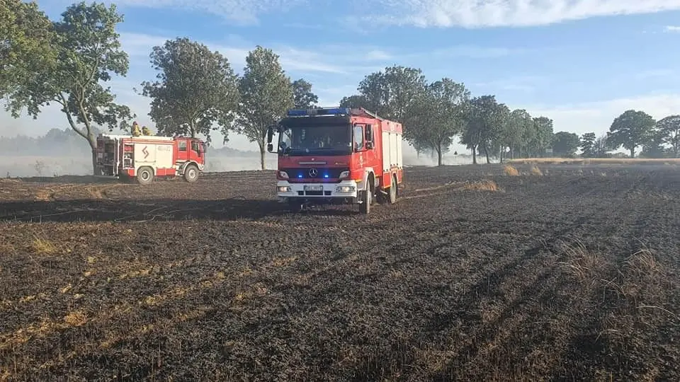 Pożary na polach w Tomaszowie Bolesławieckim i Chościszowicach