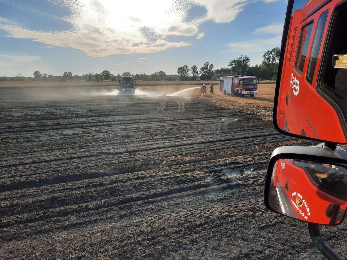 Pożary pól w Tomaszowie Bolesławieckim i Chościszowicach