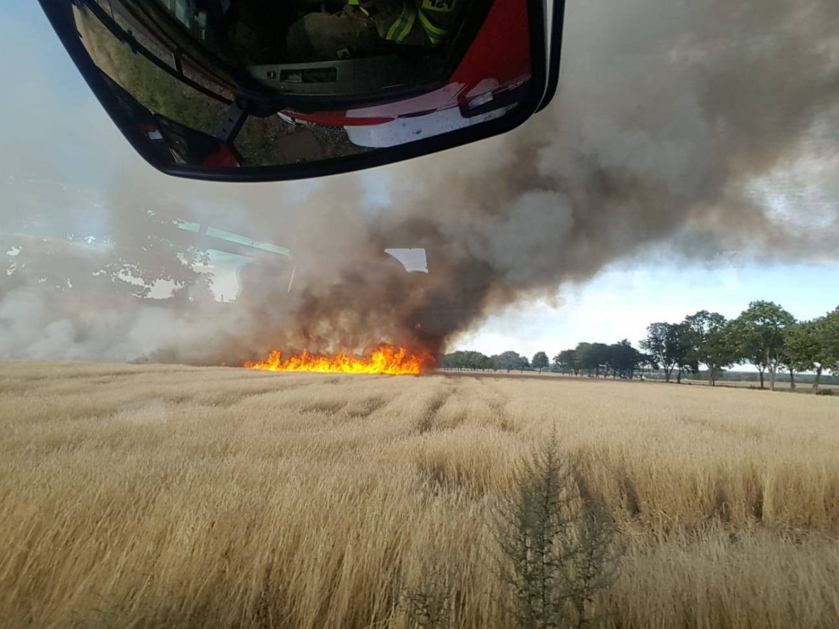 Pożary pól w Tomaszowie Bolesławieckim i Chościszowicach