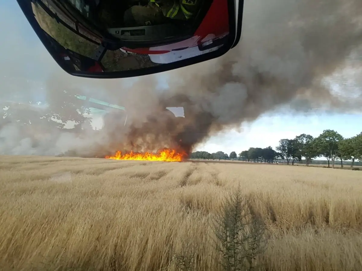 Field fires in Tomaszów Bolesławiecki and Chościszowice