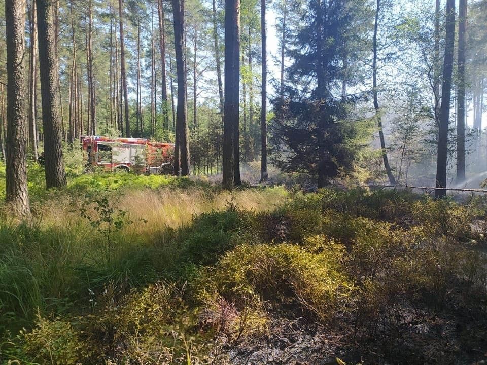 Akcja służb z powiatu bolesławieckiego przy autostradzie A4