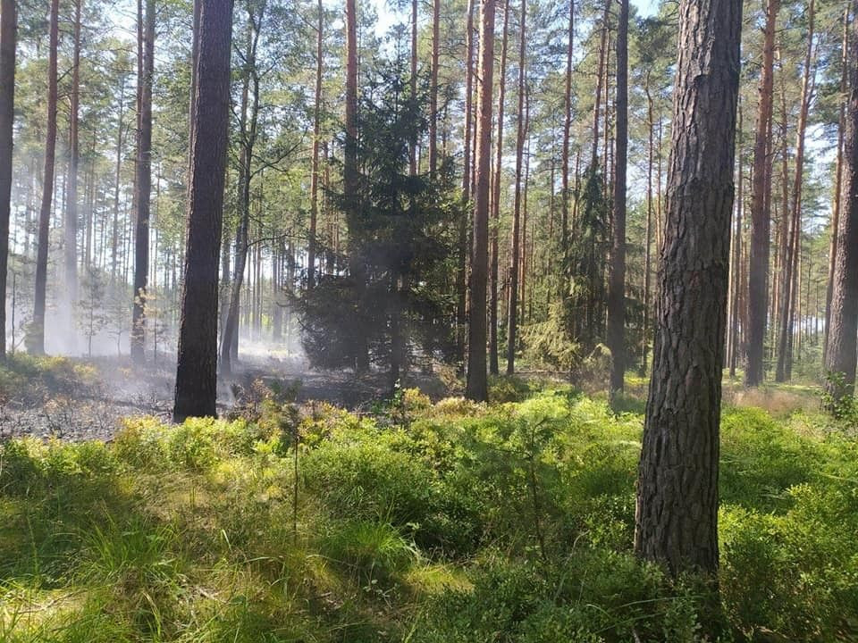 Akcja służb z powiatu bolesławieckiego przy autostradzie A4