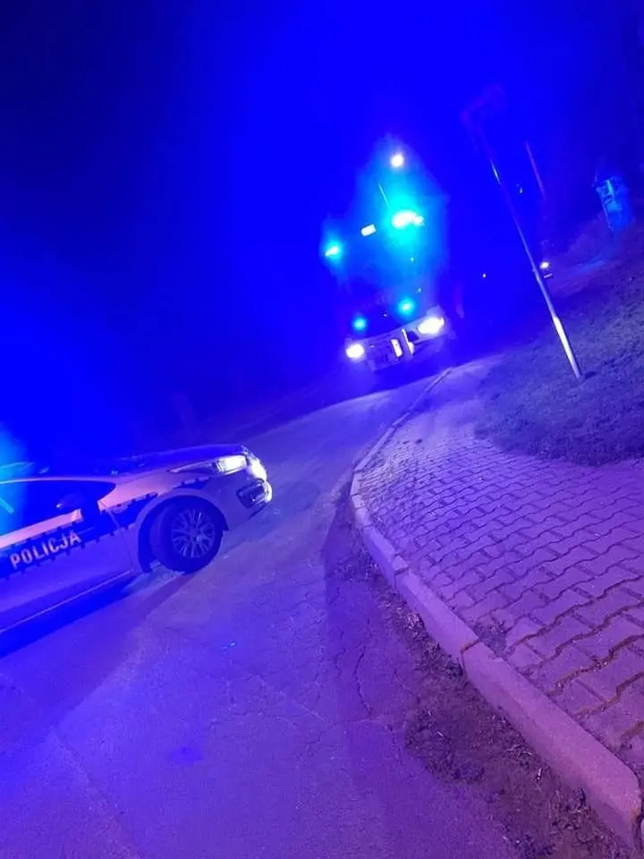 Akcja służb w Bożejowicach (gmina Bolesławiec)
