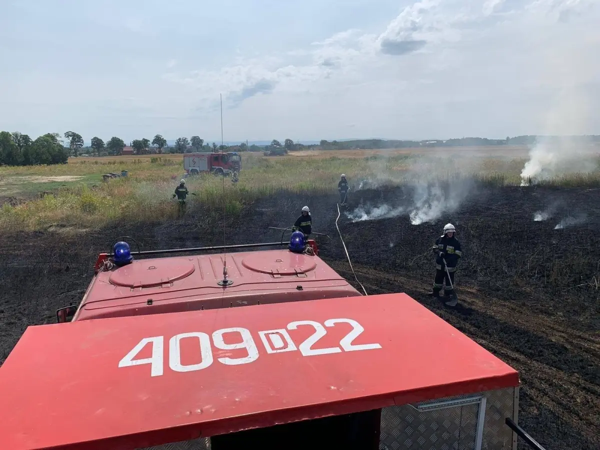 Пожежа поля в Zebrzydowa