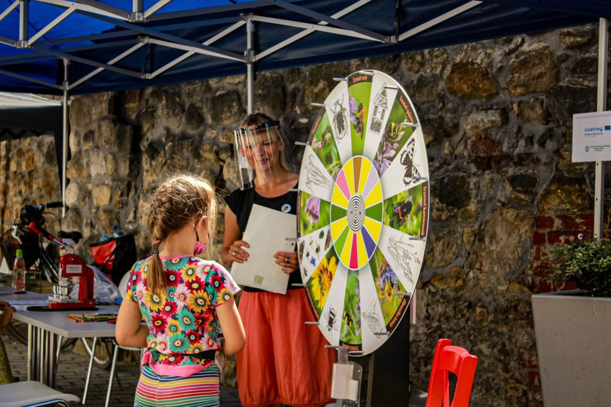 Rój Wiedzy - spotkanie edukacyjne