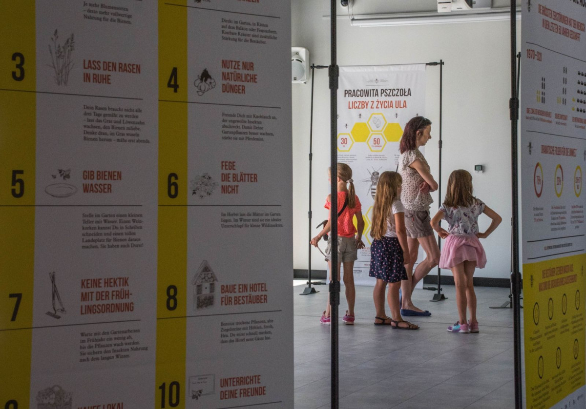 Wystawa edukacyjna „Po co nam pszczoły?”