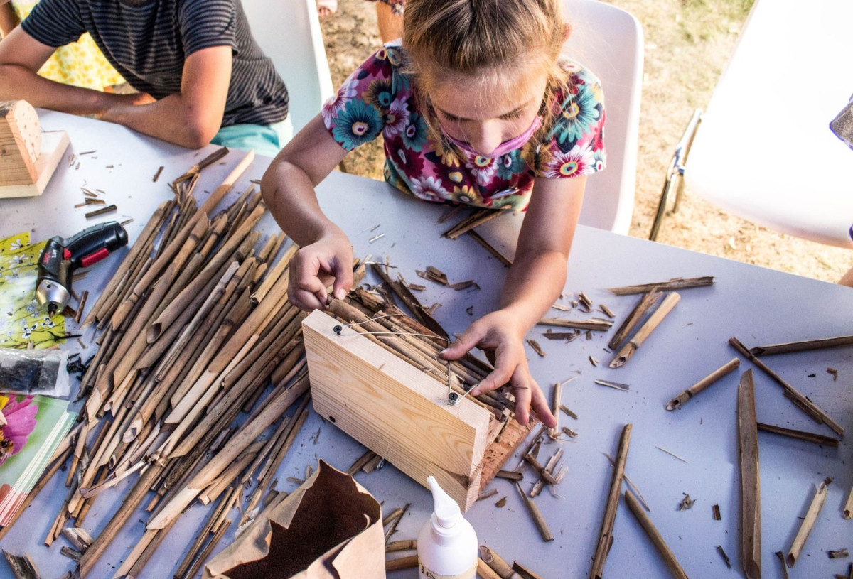 Wystawa edukacyjna „Po co nam pszczoły?”