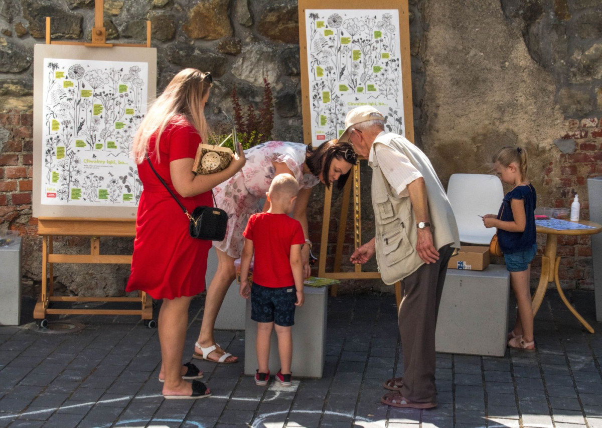 Wystawa edukacyjna „Po co nam pszczoły?”