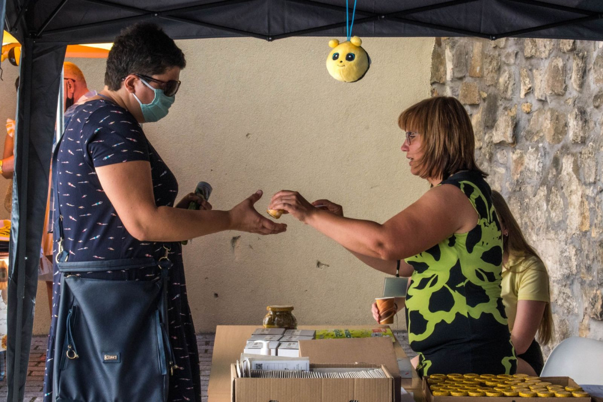 Wystawa edukacyjna „Po co nam pszczoły?”