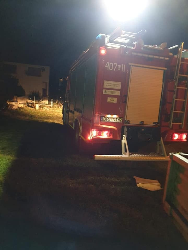 Strażacy usunęli gniazdo szerszeni w Brzeźniku