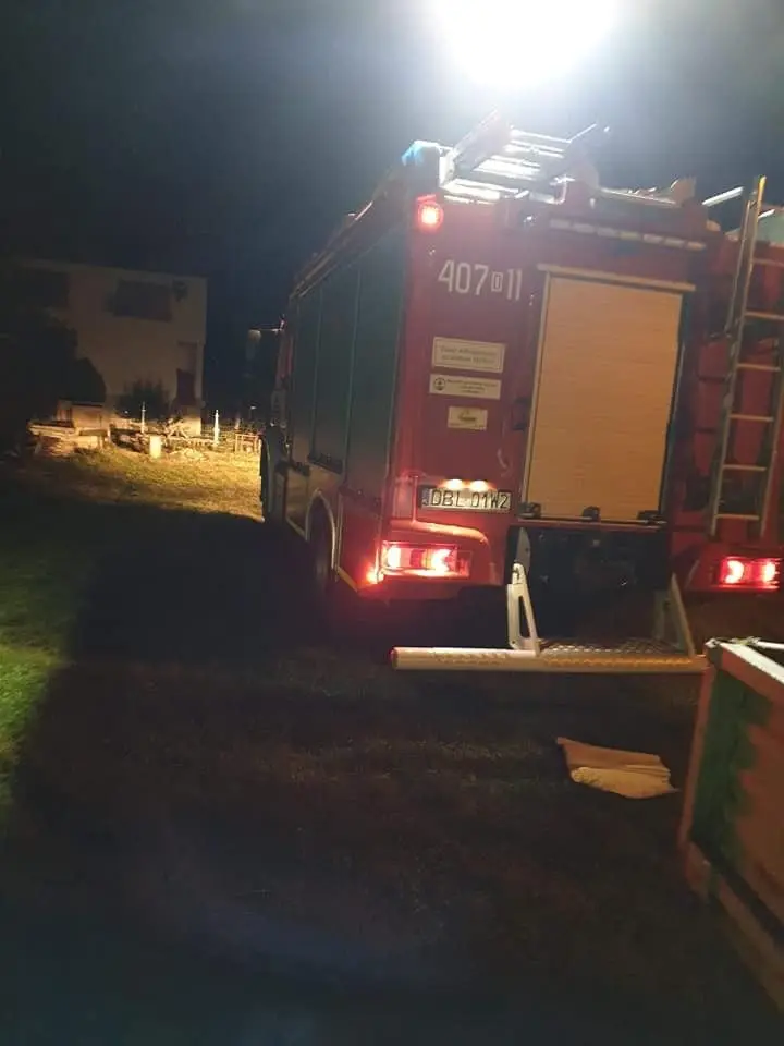 Strażacy usunęli gniazdo szerszeni w Brzeźniku
