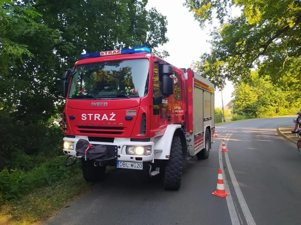 Kierowca Fiata zjechał z drogi i uderzył w drzewo