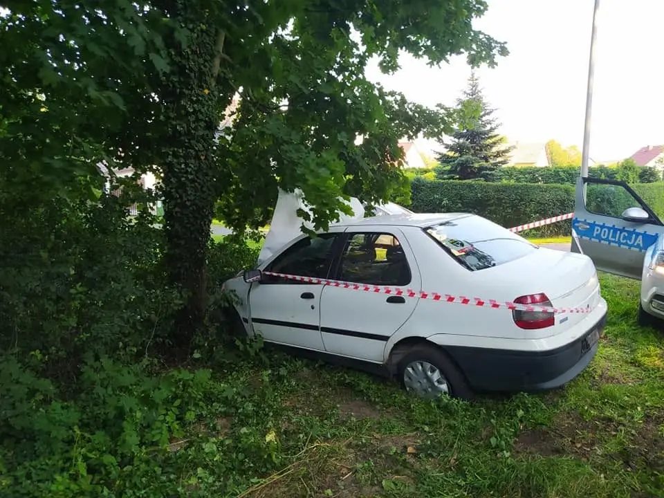 Kierowca Fiata zjechał z drogi i uderzył w drzewo