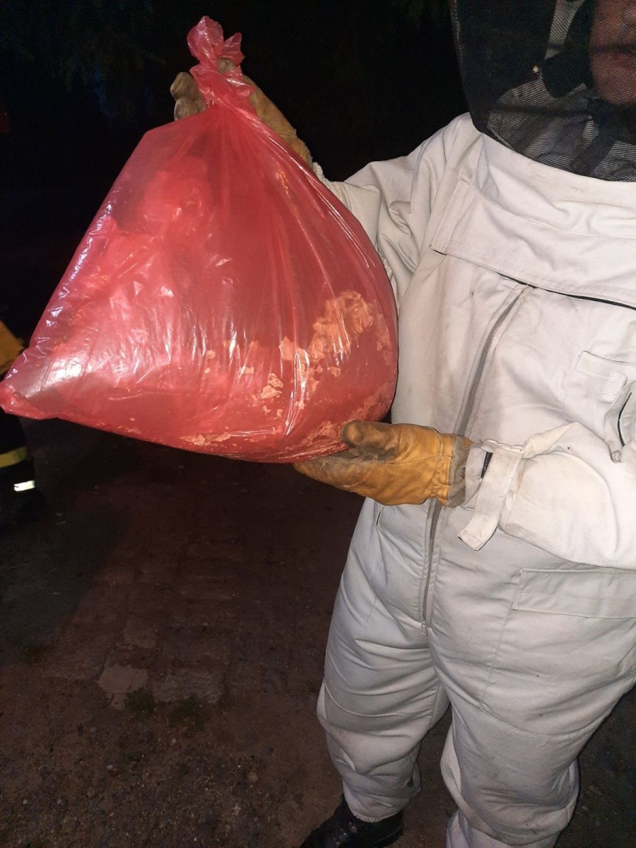 Strażacy z Różyńca usunęli gniazda Szerszeni na terenie Gromadki