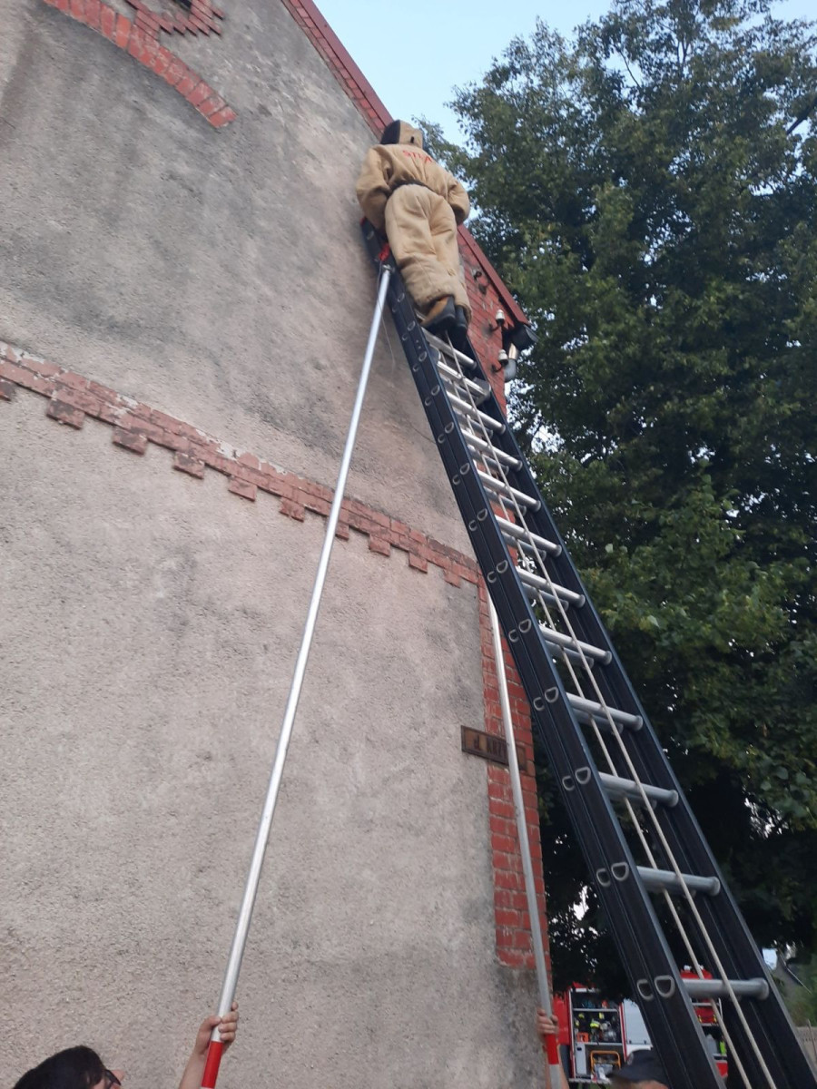 Strażacy z Różyńca usunęli gniazda Szerszeni na terenie Gromadki