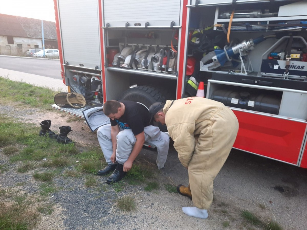 Strażacy z Różyńca usunęli gniazda Szerszeni na terenie Gromadki