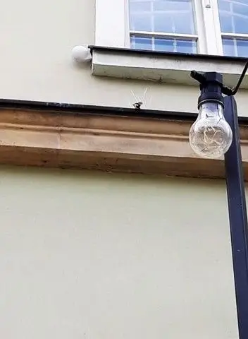 Elewacja z odstraszaczami gołębi