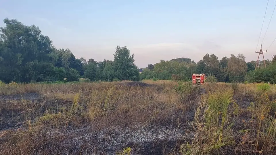 Pożar nieużytków rolnych w Łące