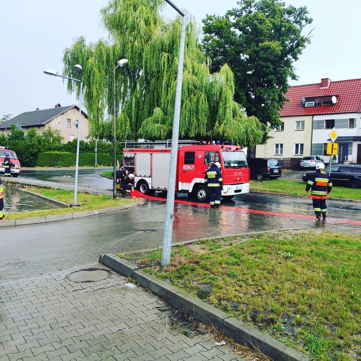 Zalane Dino w Nowogrodźcu