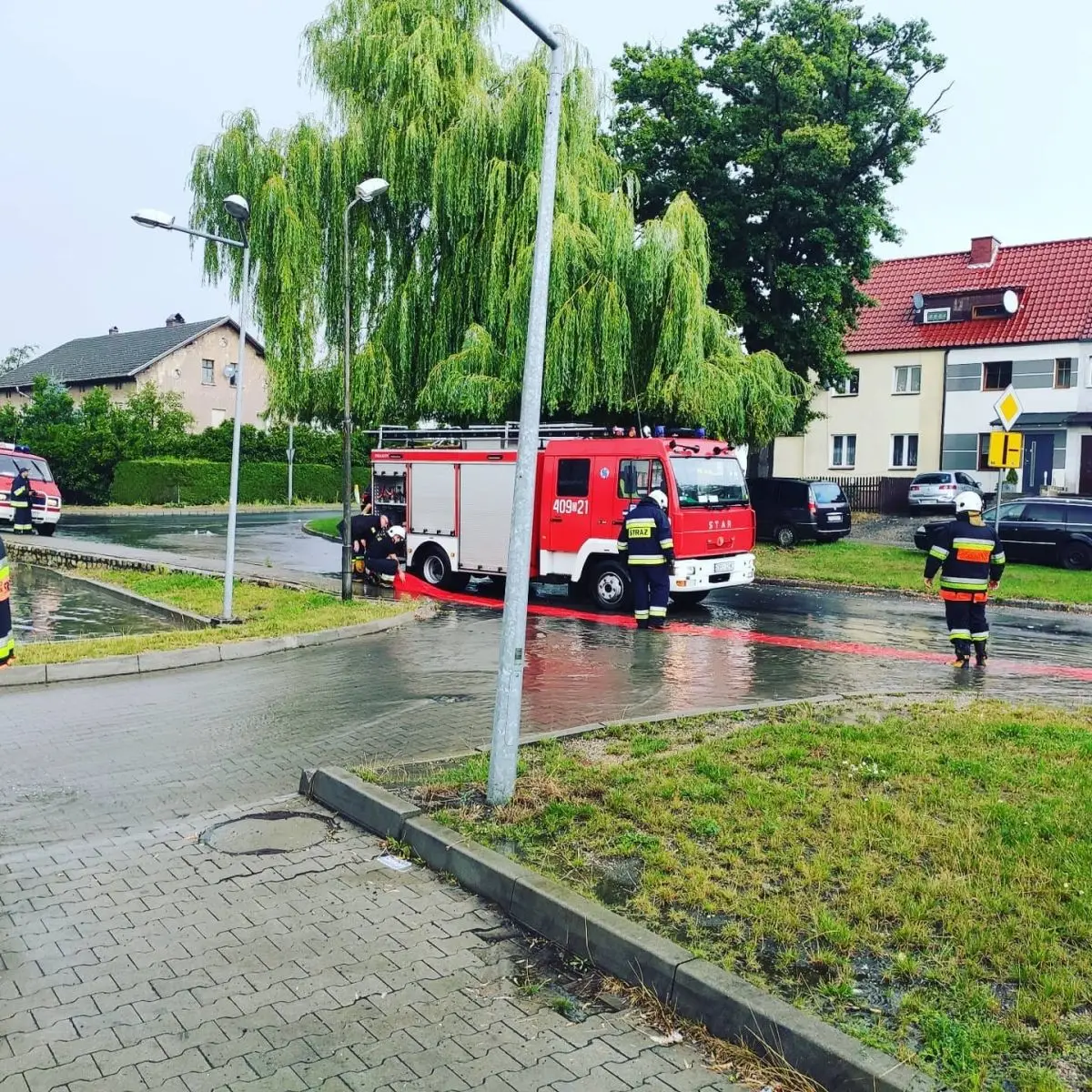 Zalane Dino w Nowogrodźcu
