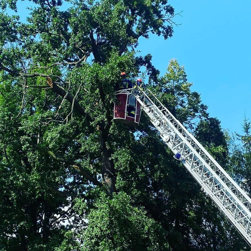 Akcja straży pożarnej w Milikowie (gmina Nowogrodziec, powiat bolesławiecki)