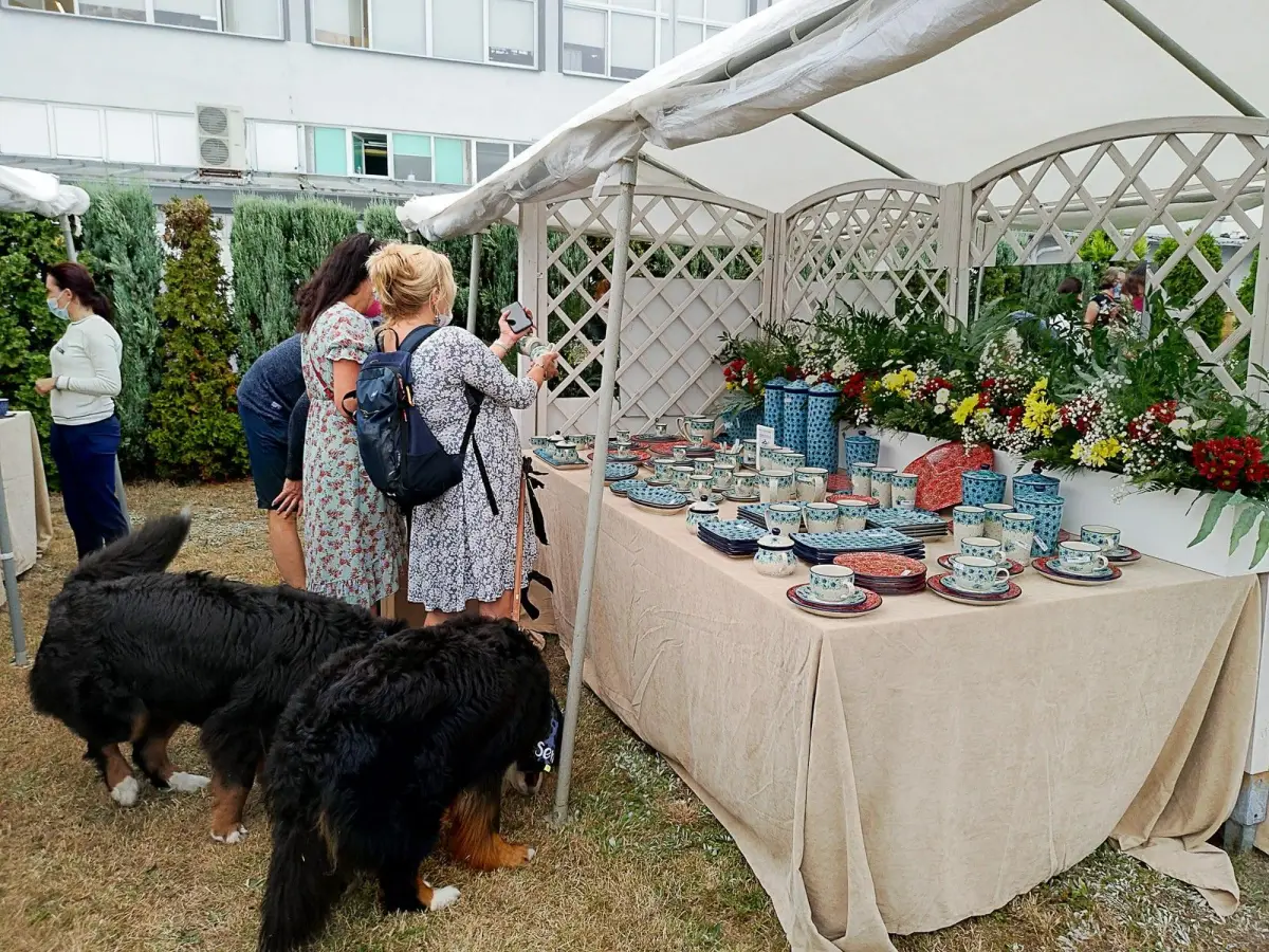 Ceramiczny Ogród Spółdzielnia Rękodzieła Artystycznego