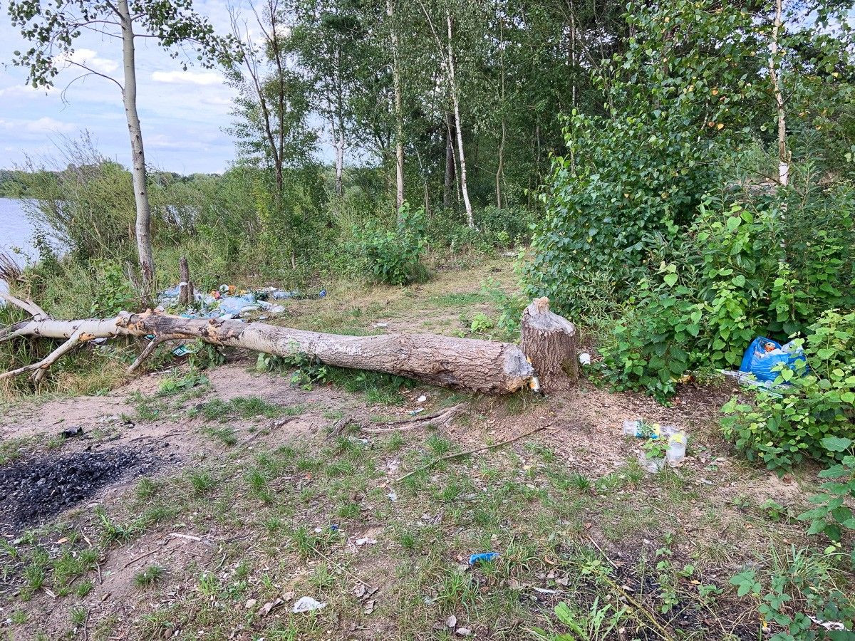 Masakryczny bałagan na brzegu Krępnicy (akwen w miejscowości Krępnica, gmina Bolesławiec)