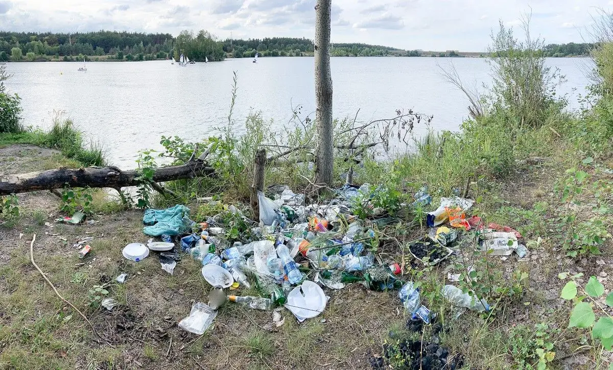 Masakryczny bałagan na brzegu Krępnicy (akwen w miejscowości Krępnica, gmina Bolesławiec)