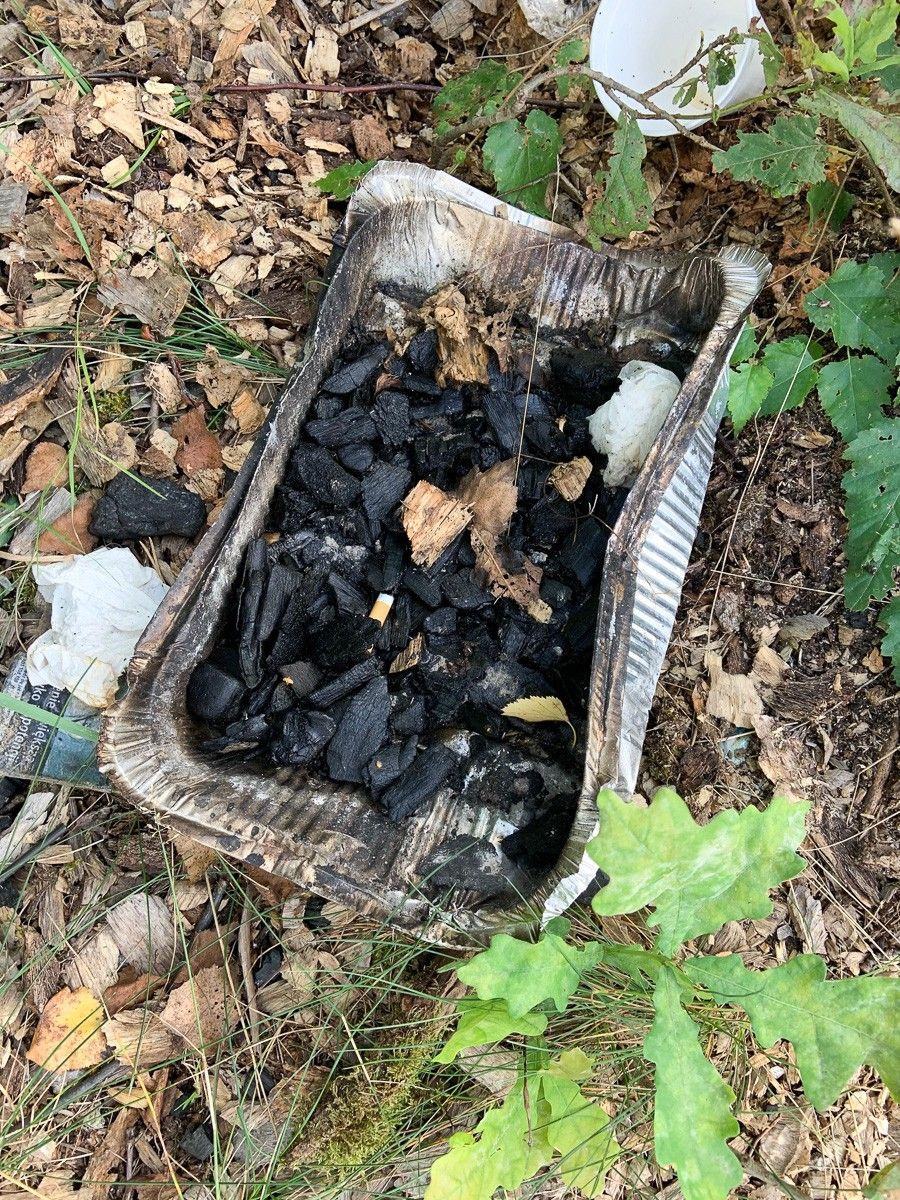 Masakryczny bałagan na brzegu Krępnicy (akwen w miejscowości Krępnica, gmina Bolesławiec)